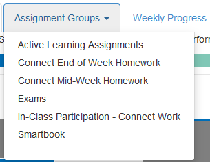 Assignment groups drop down menu shows assignment groups for course