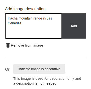 Ally alt text box with text included