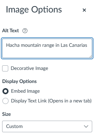 The Image Options menu, with alt text added into the labeled box