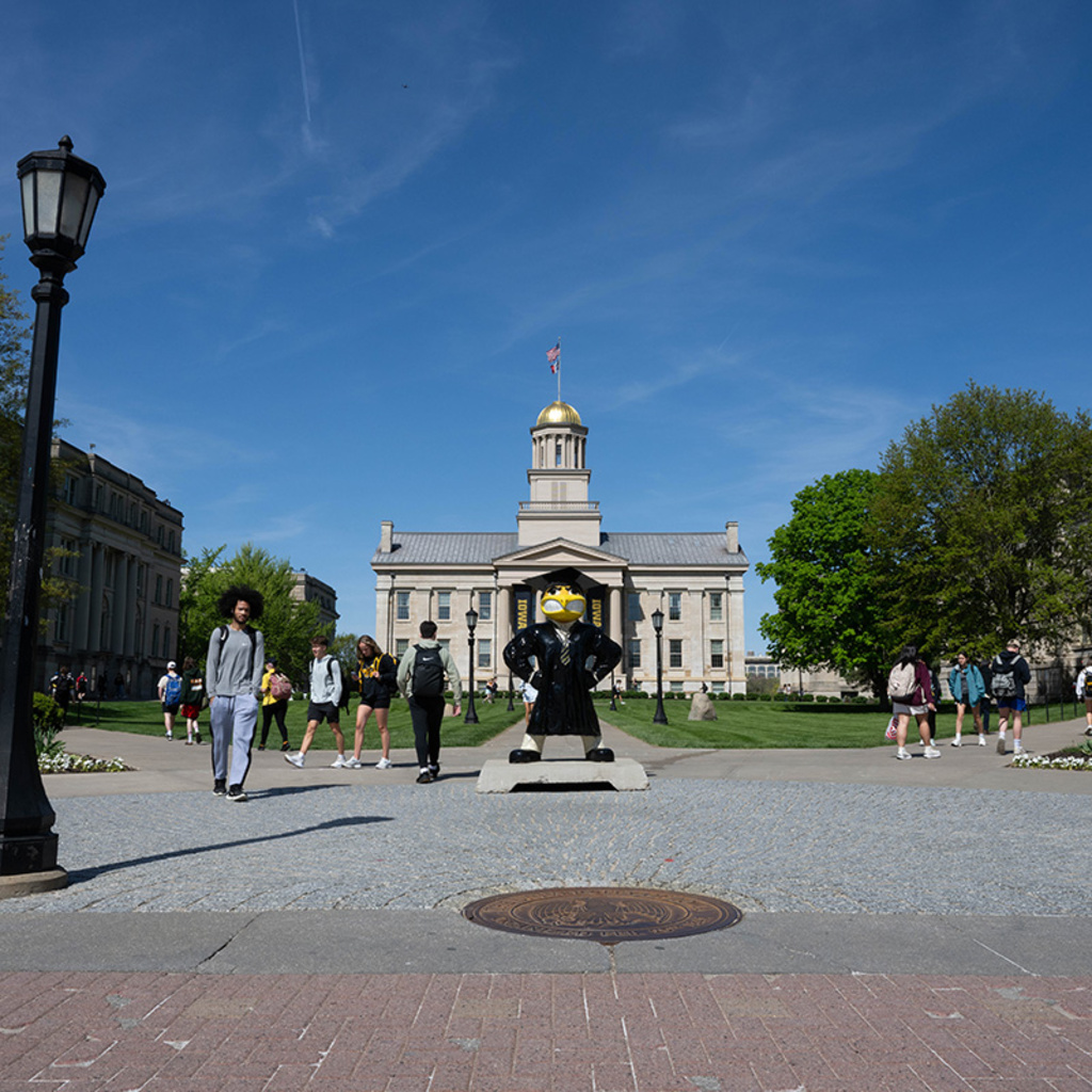 Quizzes: ICON User Group promotional image